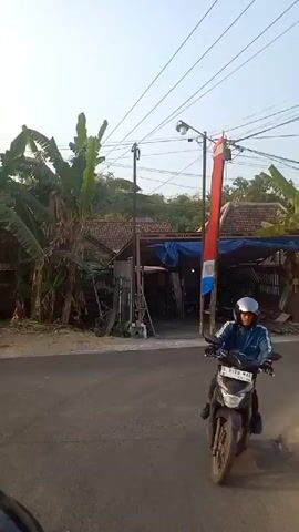 The video shows a view from the perspective of someone riding a motorcycle. The motorcycle is moving along a paved road. To the left of the road, there are trees, banana trees, and some structures that appear to be buildings or sheds with blue tarps. A red and white flag is visible, possibly a national flag, hanging from a pole. In the distance, another motorcycle with a rider wearing a helmet is visible. The sky is clear and bright, suggesting it is daytime. The video pans slightly as the motorcycle moves forward.