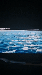 TV screens show wildlife footage and rotated cityscape