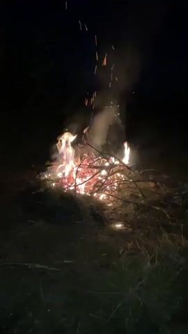 The video shows a campfire at night. Flames are burning brightly and sparks are flying upwards. Smoke is rising from the fire. The fire is in a clearing surrounded by dark trees. There is dry grass and leaves on the ground.