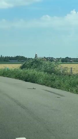 A vertical video begins with a view of a road in the foreground, with a white line painted on the left side. Beyond the road, a field of green grass is visible, followed by a field of dry, golden grain. In the distance, a village or small town is nestled, featuring a prominent church with a steeple. Several wind turbines are also scattered across the landscape. The sky is blue with scattered white clouds. The camera appears to be in motion, likely from a vehicle, as the fields and village move past. The video continues to show the same scene with slight variations in the angle as the viewpoint shifts.