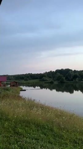 The video pans across a serene natural landscape at dusk. A calm body of water, reflecting the sky, occupies the lower half of the frame. The water's edge is lined with green grass and wildflowers. On the left side of the water, a small wooden structure, possibly a dock or boathouse, is partially visible. Further across the water, a line of trees forms a dark silhouette against the horizon. The sky above is a gradient of soft grays, blues, and pinks, with scattered clouds suggesting the setting of the sun. An old, weathered wooden pier extends into the water on the right side of the frame, its structure decaying. The overall mood is peaceful and tranquil.