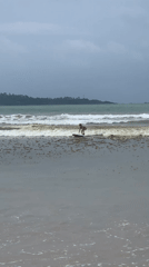 Morning surf session unfolds at Weligama Beach, Sri Lanka