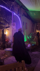 Pole dancing under purple lights, plus a cat getting pets