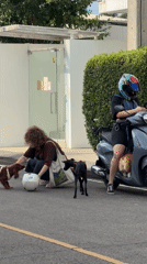 Dogs and owners captured in morning scenes across Chang Phueak