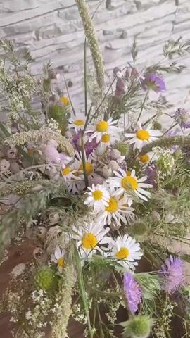 The video begins with a close-up of a bouquet of wildflowers, including daisies and purple thistles, arranged in a clear glass vase. The bouquet is placed on a wooden surface, with a light-colored, textured wall in the background. As the camera pans down and to the right, a pug dog is revealed, lying on the wooden floor next to the vase. The pug is light brown with dark markings around its face and ears, and its eyes are closed, suggesting it is resting or sleeping. A small sprig of greenery from the bouquet has fallen onto the pug's back. The wall behind the pug has two electrical outlets. The overall scene evokes a sense of calm and domestic tranquility, with the natural beauty of the flowers contrasting with the relaxed pug. The lighting appears to be natural, suggesting daytime. There is no visible text in the media file. The location is identified as Vilnius, Lithuania.