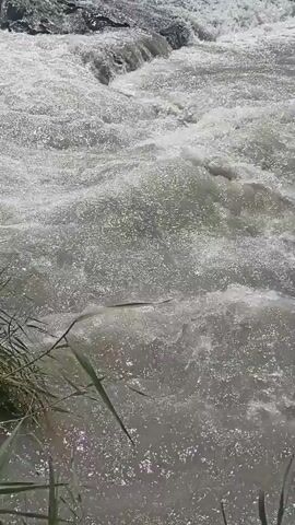 The video shows a close-up view of a waterfall. The water is white and frothy as it cascades down over rocks. There is green grass and reeds growing along the bank of the river in the foreground. The sun is shining brightly, and the water is sparkling.