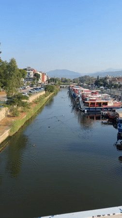 Quiet canal with boats and ducks, Fethiye, Turkey