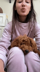Woman enjoys quiet morning with poodle in Montenegro home