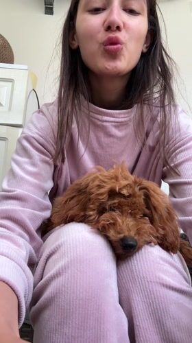 Woman enjoys quiet morning with poodle in Montenegro home