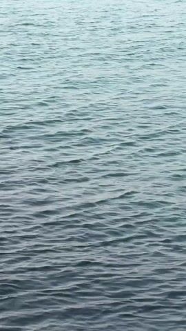 The video displays a close-up, static shot of calm water. The surface of the water is slightly rippled, creating subtle patterns of light and shadow. The water color transitions from a lighter, almost translucent blue at the top of the frame to a darker, deeper blue at the bottom. There are no people, objects, or discernible actions visible in the video. The environment is solely the body of water itself.