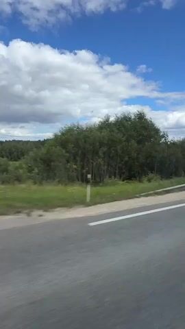 The video shows a view from a vehicle moving along a highway. The road is gray asphalt with white lane markings. On the left side of the road, there is a metal guardrail, and beyond that, a grassy embankment and a dense forest of green trees. The sky above is a vibrant blue with scattered white clouds. The camera appears to be positioned to the right of the driver's seat, as indicated by the presence of the vehicle's window frame on the right edge of the footage, which shows a faint texture of the window's dots. The scene suggests a travel or journey through a natural, wooded landscape on a bright, clear day.