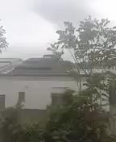 The video shows the exterior of a building viewed through trees and bushes. The sky is overcast. The building is white with a flat roof and dark gray roof elements. There are windows and doors visible. The trees and bushes are green and their leaves are moving slightly. The video is slightly blurry.