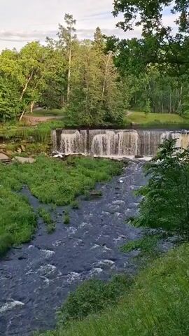 The video shows a waterfall in a natural setting. The waterfall is a wide, relatively low cascade with water flowing over a rocky ledge. The water below the falls is turbulent and appears to be a river or stream. Lush green vegetation, including trees and grass, surrounds the waterfall and river. The light suggests it is daytime, possibly late afternoon or early morning given the soft light. No people or animals are visible in the frame. The overall scene is one of a peaceful and scenic natural environment.