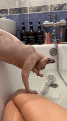Sphynx cat's bath day and chill time in Odesa