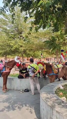 The video shows two brown horses equipped with colorful saddles and decorative headpieces, standing near a low concrete wall. A young man in a black t-shirt is sitting on the wall, facing the horses. Another person, wearing a patterned shirt and light-colored pants, stands facing away from the camera, looking towards the horses and the seated man. In the background, there are trees with green foliage and a clear sky, suggesting an outdoor setting, likely a park or recreational area. The horses appear to be waiting, possibly for riders or for an event. There are also some pairs of footwear visible on the ground near the seated man.