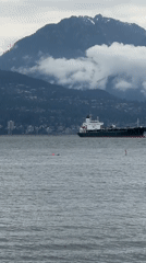 Swimmer waves in choppy Vancouver waters amid marine traffic