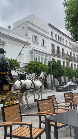The video shows a horse-drawn carriage traveling through a cobblestone plaza in what appears to be a European city. The carriage is black with yellow trim, and is pulled by two white horses. Two men wearing hats and grey jackets are seated in the carriage. The buildings surrounding the plaza are primarily white with multiple stories and balconies. Trees line the street. In the foreground, there are several empty tables and chairs belonging to an outdoor cafe. The sky is overcast. A black car is parked on the side of the street. A "Cruzcampo" branded umbrella provides shade for one of the tables. The carriage is moving away from the camera.