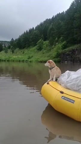 A dog sits on the edge of a yellow inflatable raft in a river. The dog is light-colored with some darker markings around its ears and tail. It wears a dark collar. The raft has a white bag or tarp secured to it. The river water is calm and reflects the overcast sky. The background shows a lush green hillside covered with trees and vegetation. In the distance, a large, rocky cliff face is visible. The camera is positioned low, giving the impression of being from within another boat or close to the water's surface. The video is short and appears to be a still shot with a slight panning or zooming effect.