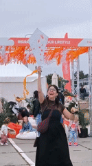 Kite festival fills the Riga waterfront with color and crowds