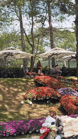 Saxophonist performs in lakeside park in Da Lat, Vietnam