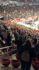Basketball game draws packed red-clad crowd in Sofia arena