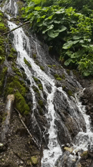 Small waterfall observed in lush forest environment in Chvizhepse, Russia