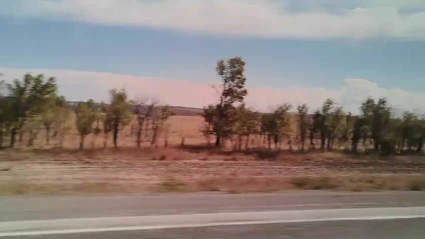 The video shows a roadside view from a moving vehicle. The landscape is dry and arid, with sparse vegetation including trees and bushes. A row of trees runs parallel to a dirt track or railroad bed. A light-colored vehicle is visible in the foreground, moving rapidly past the camera, causing motion blur. The sky is blue with scattered white clouds. The overall impression is of a journey through a rural or undeveloped area.
