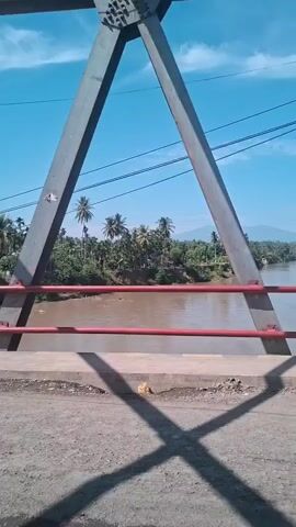 The video begins with a low-angle, shaky shot of a river as seen from a bridge. The bridge railing is red and the structure of the bridge is visible. The river is brown and wide, with muddy banks. Lush green vegetation, including palm trees, lines the riverbanks, suggesting a tropical environment. In the distance, mountains are visible under a clear blue sky. The shot pans slightly, revealing more of the river and the landscape. The video appears to be handheld and unedited, with no discernible sound. There are no people or animals visible in the frame. The overall impression is of a serene, natural landscape viewed from an elevated perspective.