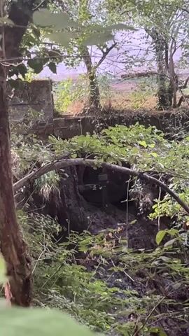 A video of a partially visible water wheel submerged in a rocky, overgrown stream bed. The wheel is dark and appears to be made of wood and metal. It is surrounded by dense green foliage, with trees and branches obscuring parts of the scene. In the background, there is a concrete structure and a body of water that may be a river or lake. The lighting suggests it is daytime, possibly overcast.