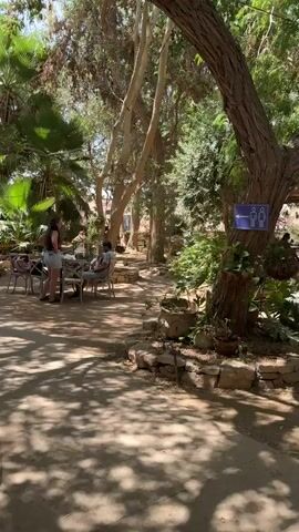 The video shows an outdoor setting with lush vegetation and trees. In the foreground, there is a pathway with dappled sunlight. Several tables and chairs are arranged in different areas, suggesting an outdoor seating area, possibly a cafe or restaurant. Some people are visible in the video. At the beginning, two women and a man are seated at a table. Later, a man walks away from the camera. Another person is seen walking into the distance towards some trees. A window with decorative metalwork is visible on the left side of the frame. The overall environment appears to be a tranquil, shaded outdoor space.