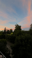Sunset observed over residential treeline with pink-blue twilight sky