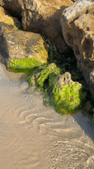 Early morning beach activities recorded in Bat Yam, Israel