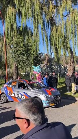 The video shows a crowd of people watching race cars pass by on a sunny day. The cars are parked in a line, and the crowd is standing on the sidewalk. One car is silver with orange and blue accents and the number 203 on the side. Another car is blue and white with black accents. There are trees lining the street. Some people in the crowd are taking pictures or videos, while others are just watching. One person drinks from a can of soda.