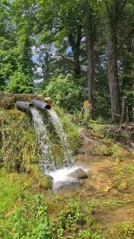 A long shot shows two black pipes emptying water into a small, rocky, green-moss-covered stream. The stream flows from the left of the frame towards the right, then turns into the middle of the frame. The background features lush green trees with sunlight filtering through their leaves. The area around the stream is covered in green moss and yellow-brown dirt.
