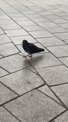 Early morning scenes captured across Tel Aviv neighborhoods