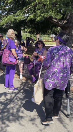 Purple-clad women gather at Bar Montenegro plaza near tour buses
