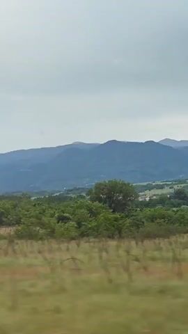 This media file captures a wide outdoor landscape, likely viewed from a moving vehicle, evidenced by the motion blur in the foreground. In the distant background, a range of large mountains appears blue-grey under an overcast or hazy sky, suggesting daytime. The midground features a valley or plain with abundant green trees forming dense clusters and scattered forests, interspersed with lighter green and brown grassy areas. Small structures or settlements are faintly visible among the trees in the mid-distance. The immediate foreground consists of blurred brown and green vegetation, suggesting fields or roadside foliage passing by quickly. The scene is located near Baldevo, Bulgaria. There are no people, distinct objects, or visible text in the image.