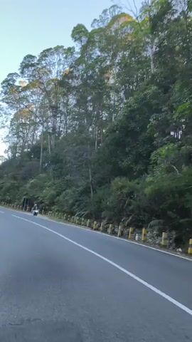 The video captures a view from a moving vehicle on a paved road that curves to the left. The road has a white line dividing lanes. Along the right side of the road, there are yellow and black striped bollards and a dense green hillside covered in trees and vegetation. A few tall, slender trees with sparse foliage are visible on the top of the hill. In the distance, on the right side of the road, a person is seen riding a scooter with another person behind them. The sky is clear and a light blue, suggesting it's either early morning or late afternoon. The overall scene is one of a scenic drive through a natural, wooded area.