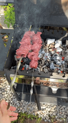 Spring barbecue gathering documented in Russian countryside garden