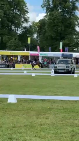 Here is a detailed description of the video:

The video shows a dressage event. A rider on a dark-colored horse is navigating a rectangular dressage arena marked with white cones. Banners and advertising are visible around the arena. The audience is seated in the background. The grass in the foreground is cut short, and there is a line of white cones that mark the arena's perimeter. The sky is cloudy.