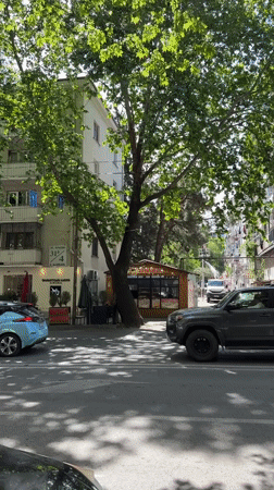 Fire truck spotted on Tbilisi street