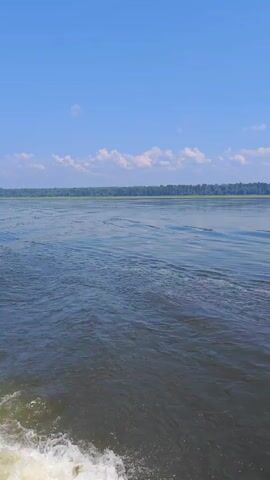 The video shows a view of a body of water from a boat moving forward. In the foreground, on the left side of the frame, there is foamy white wake created by the boat. The water is dark blue and choppy, with ripples and waves. In the background, there is a distant treeline with lush green trees. The sky is a clear bright blue with a few wispy white clouds. The sun appears to be shining, casting a bright light on the scene. The overall impression is one of a sunny day on the water.