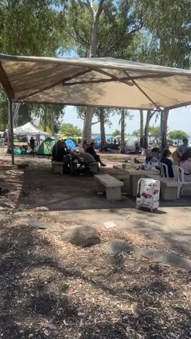 The video shows a gathering of people at what appears to be a lakeside park or camping area. There are trees providing shade, and a large sunshade structure covers several picnic tables and benches. A group of people is seated around the tables, while a man plays an acoustic guitar for them. Camping tents are visible in the background, near the water. A suitcase with London-themed decorations is near the tables. The ground is covered with dirt, leaves, and some litter.
