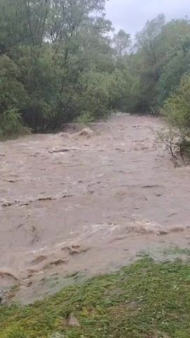 The video shows a flooded river flowing rapidly through a forest. The water is muddy and turbulent, with waves and eddies visible on the surface. The riverbanks are lined with green vegetation, including grass and trees. The sky is overcast, suggesting recent heavy rain. There are no people visible in the video. The scene depicts a natural disaster or the aftermath of one.