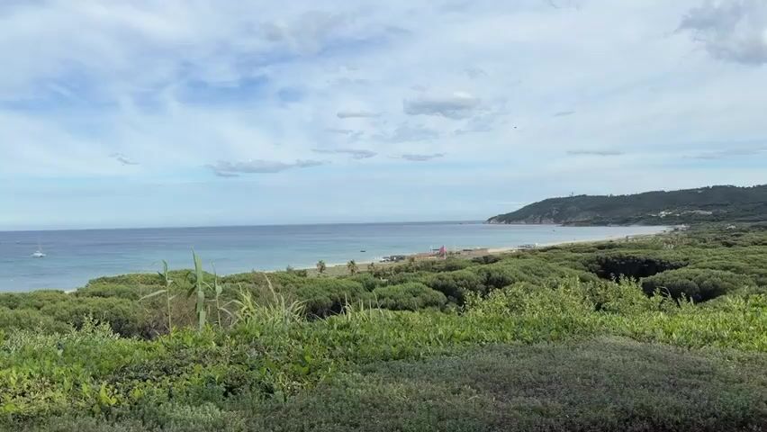 The video shows a coastal landscape on a partly cloudy day. The first shot is an overview of a beach and calm ocean, with green vegetation in the foreground. A small sailboat is visible on the water. The camera then pans to the right, revealing a more manicured lawn area with a trimmed hedge, pine trees, and palm trees. In the following shot, several mature olive trees with gnarled trunks are featured. On the manicured lawn, there are two large inflatable objects, one pink and one green. A few people are standing nearby. The scene appears to be a well-maintained garden overlooking the sea.