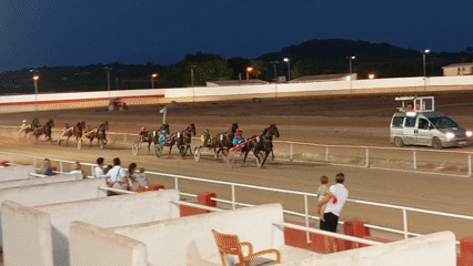 Dusk harness racing at Manacor's historic hippodrome