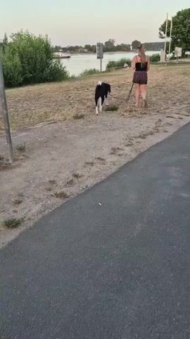 This media file shows a woman walking her black and white dog along a paved path next to a grassy area. The woman is wearing a dark-colored dress with a leopard print pattern. The dog is on a leash and is walking ahead of her. In the background, a body of water, possibly a river, is visible with a boat on it. Trees and vegetation line the water's edge, and there are some structures visible in the distance. The sky appears to be clear, suggesting a pleasant day. The scene seems to be set in a park or recreational area, possibly near a waterfront. The overall mood appears peaceful and relaxed, with the woman enjoying a walk with her dog. The time of day appears to be late afternoon or early evening, given the soft lighting. There is no visible text in the media file.