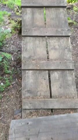 A first-person perspective video shows a person walking on a wooden suspension bridge over a body of water. The bridge is made of rough wooden planks and appears old and weathered. Cables on either side support the bridge. Trees and lush green vegetation surround the water, with a forest visible in the background. The sky is partly cloudy. The person is walking towards the far side of the bridge.