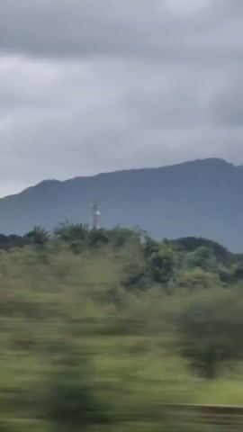 The video shows a view from a moving train. In the foreground, railroad tracks are visible. Beyond the tracks is a grassy field, followed by a dense line of trees and vegetation. In the background, a mountain range is visible under a cloudy sky. A cell tower is positioned on a hill in the middle ground. Vertical lines of poles or wires are present in the foreground, obscuring parts of the view and indicating the train's perspective. The motion of the train causes a blurring effect on the scenery, especially on the vegetation. The overall scene depicts a rural landscape during what appears to be an overcast day.