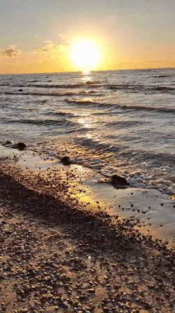 Golden sunset over a pebble beach on the Estonian coast